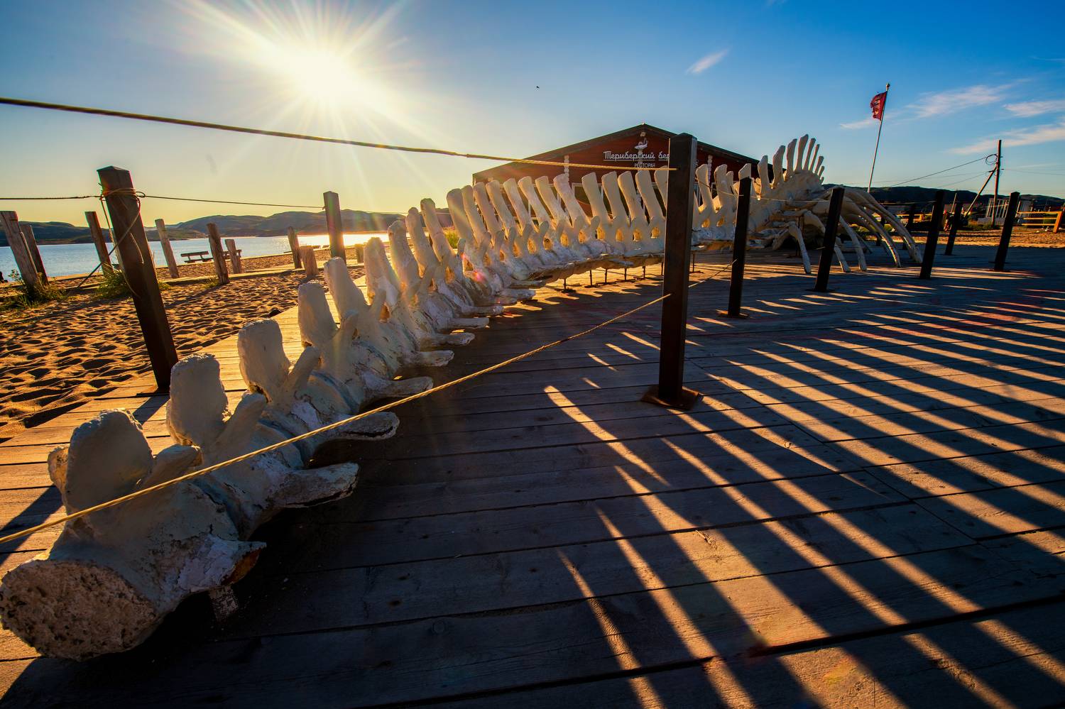 Тот самый скелет кита из фильма Левиафан. Автор: Dzmitry Hurynovich , Dzmitry Hurynovich