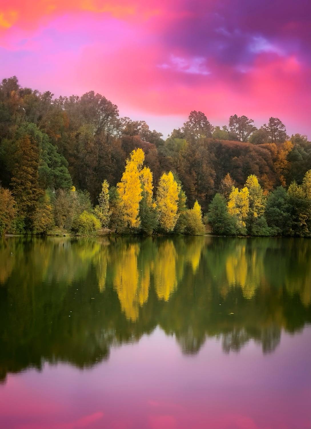 ***. Автор: Julia Kaissa пейзаж, landscape, nature, природа, осень, autumn, золотаяосень, goldatum, закат, sunset, пруд, Julia Kaissa