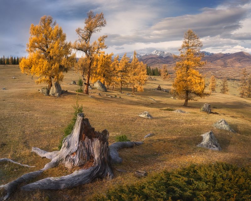 Прогулка по осенним склонамphoto preview