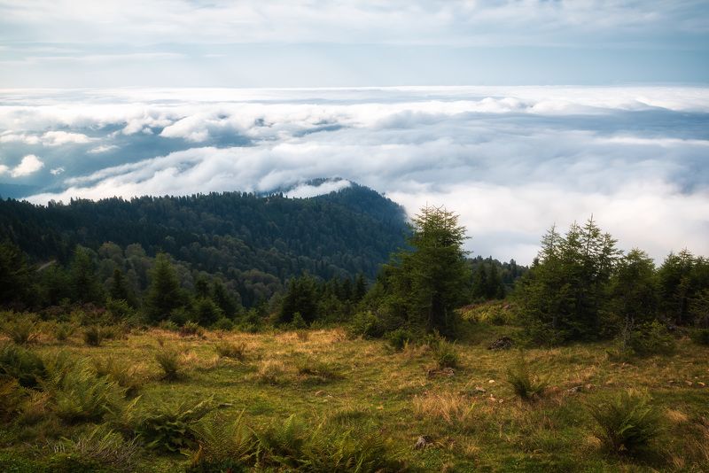 До облаков достать рукойphoto preview