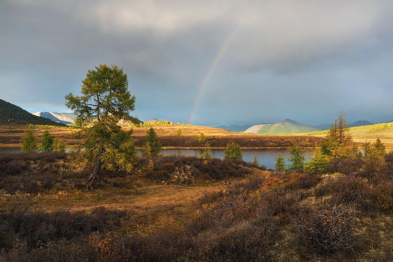 После дождяphoto preview