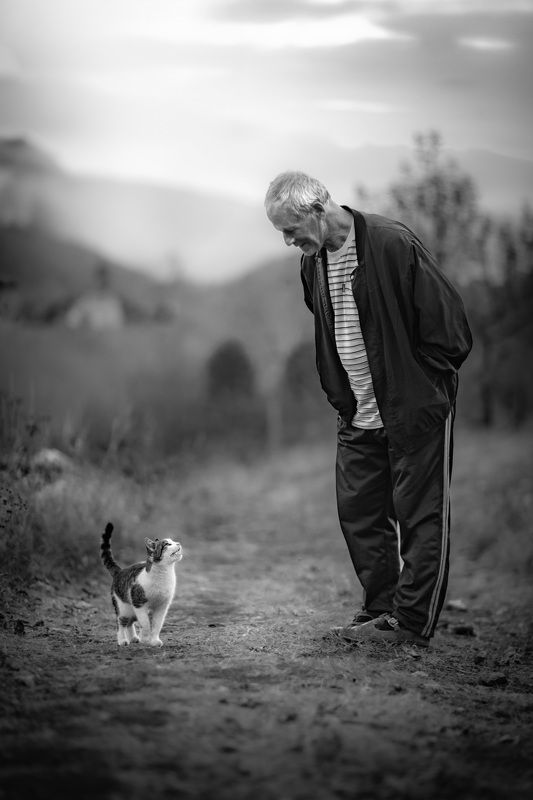 Кот, животное, старик, дерево, природа Друзьяphoto preview