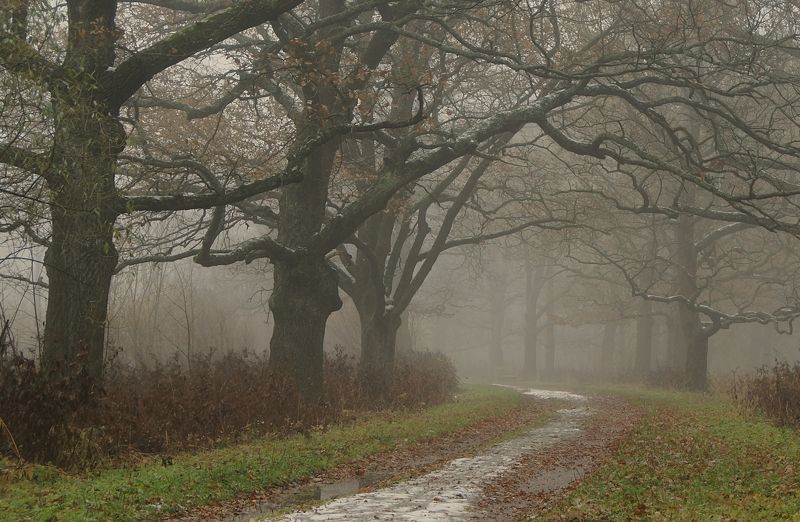 First snowphoto preview