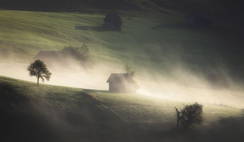 Bavariaphoto preview