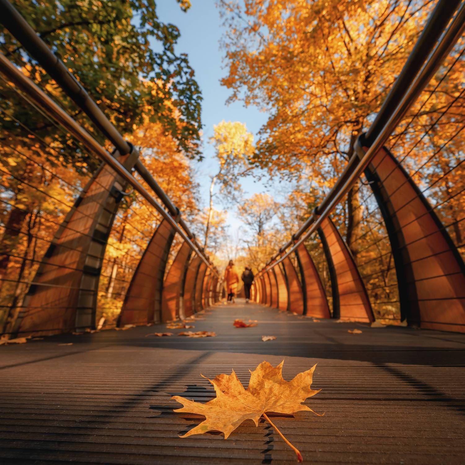 moscow, autumn, вднх, москва, осень, Анастасия Мазурева