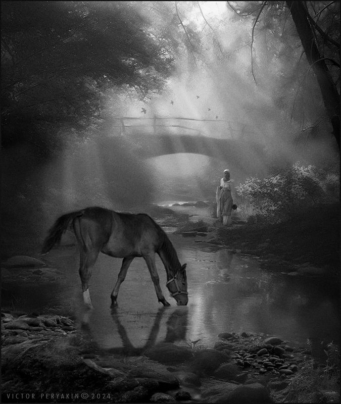 Лесная тайна  ЧБphoto preview