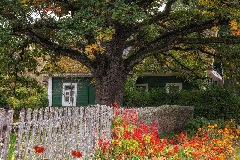 Уютная осень в Михайловскомphoto preview