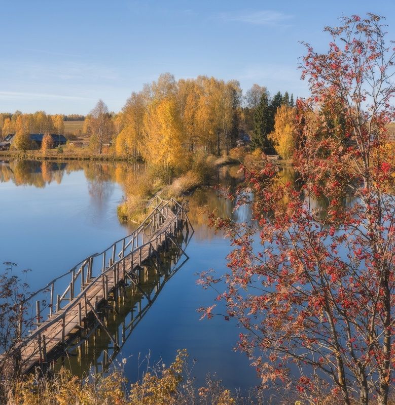 Мостик в осеньphoto preview