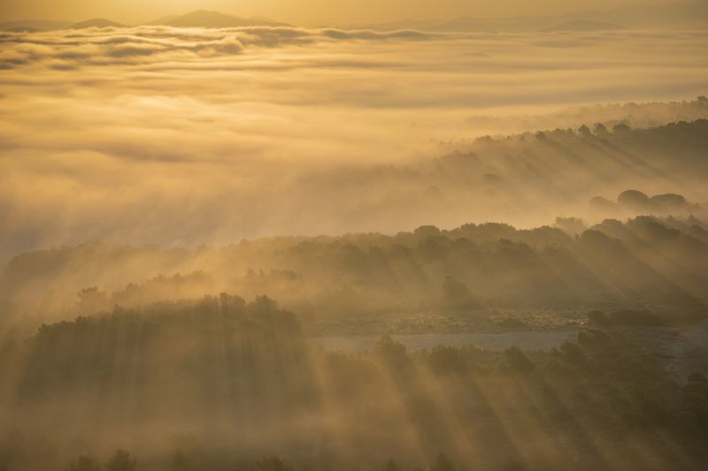 #fog #landscapes #morning #goldhours  The Fogphoto preview