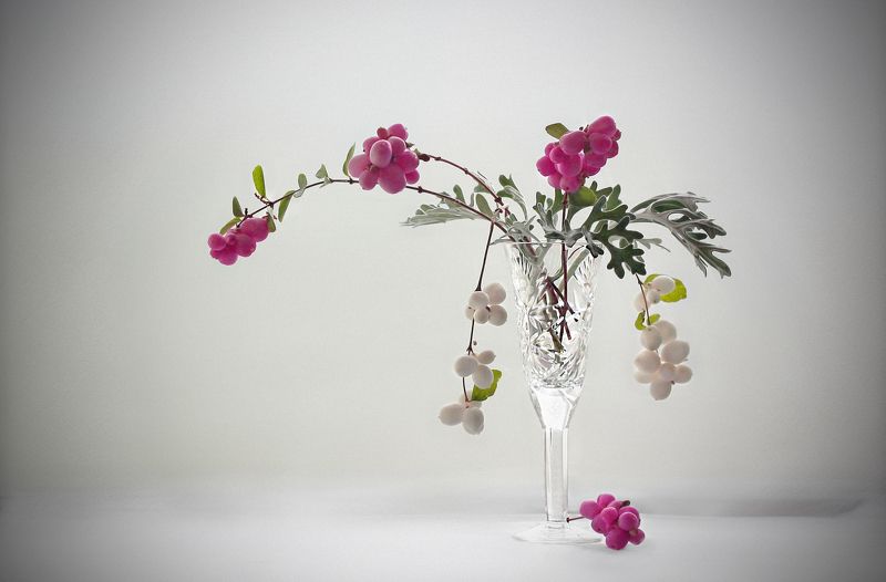 Розовый и белый снежноягодникphoto preview