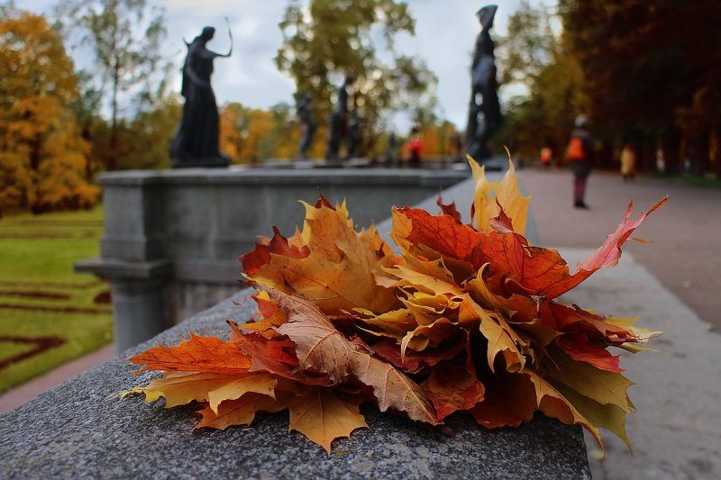 осенний букет фото превью