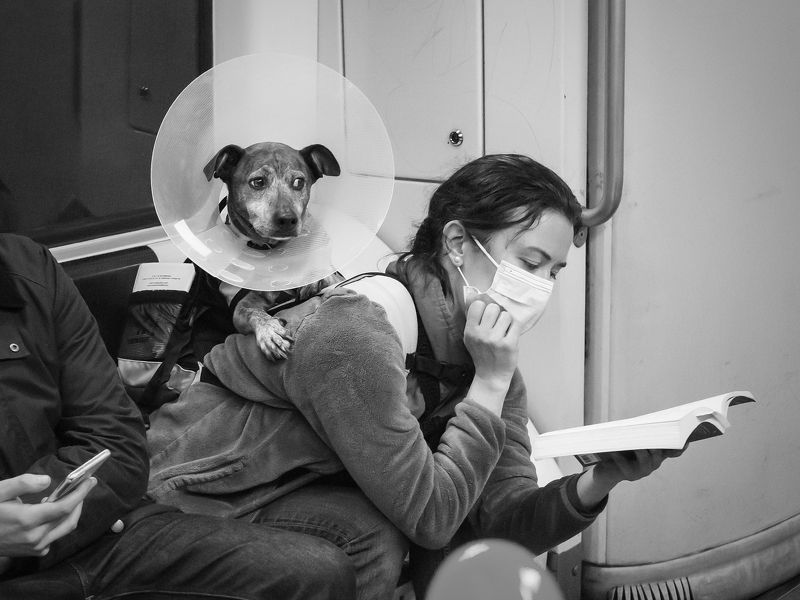 В клинику...photo preview