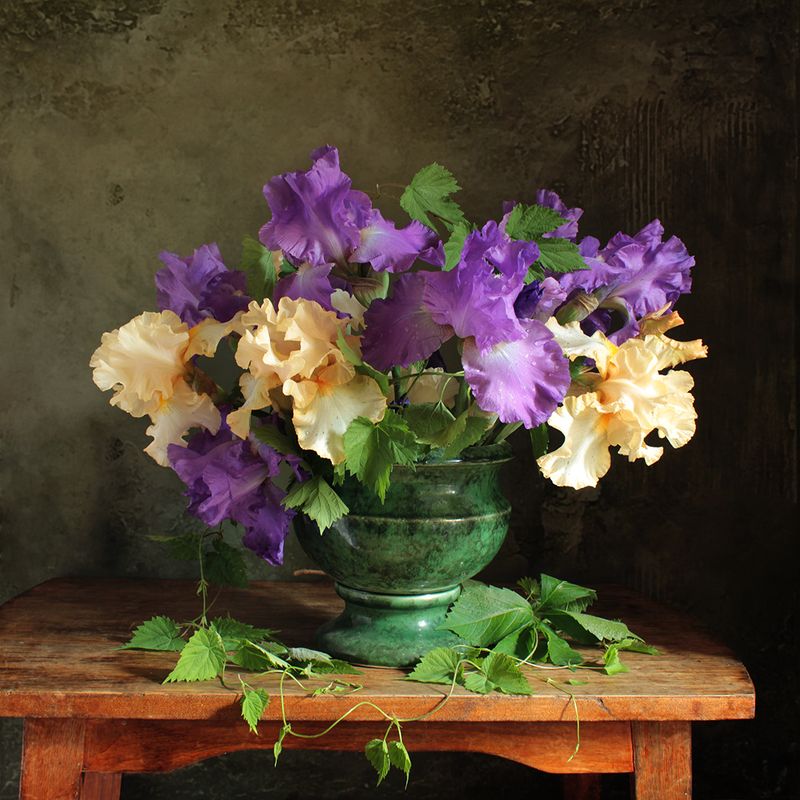 Букет, цветы, цвет,  ирисы, композиция Букет фото превью