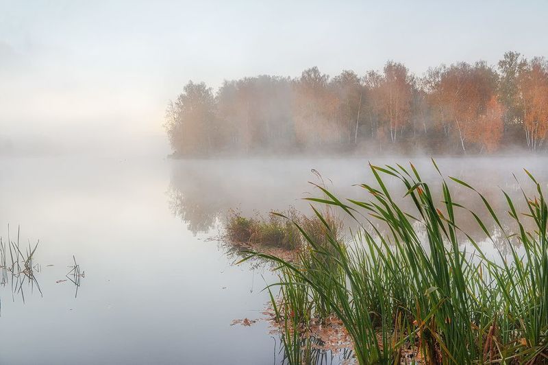 Осенняя пора...photo preview