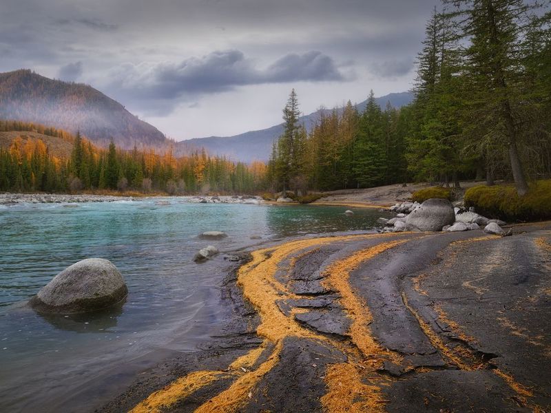 Хвойными дорожкамиphoto preview