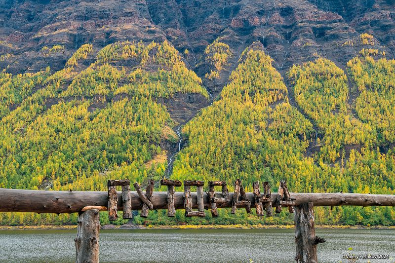 озеро дюпкун, плато путорана, скалы, лиственницы, водопады, осень, курейка, предзимье, лиственницы, таймыр, заполярье, владимир коваль Pro фактуры озера Дюпкунphoto preview