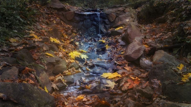 Осенний ручеекphoto preview