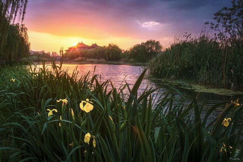 我的作品photo preview