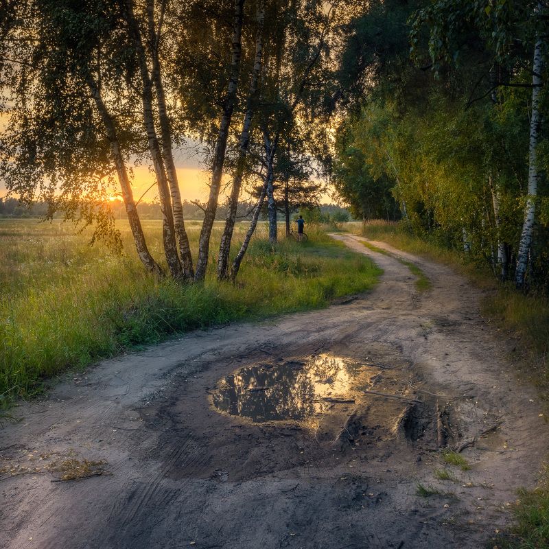 дождь, московская область, поле, закат, дорога, лес После дождяphoto preview
