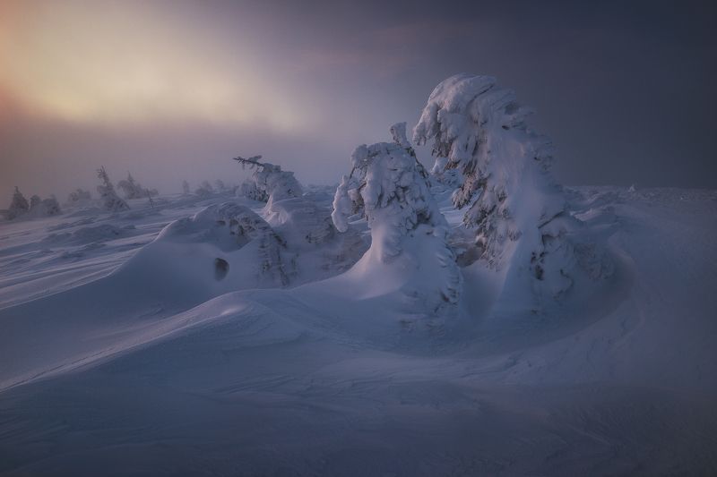 Solidifiedphoto preview