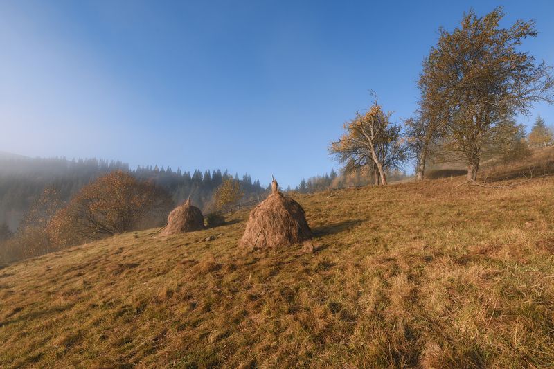 стожки, горы, луга photo preview