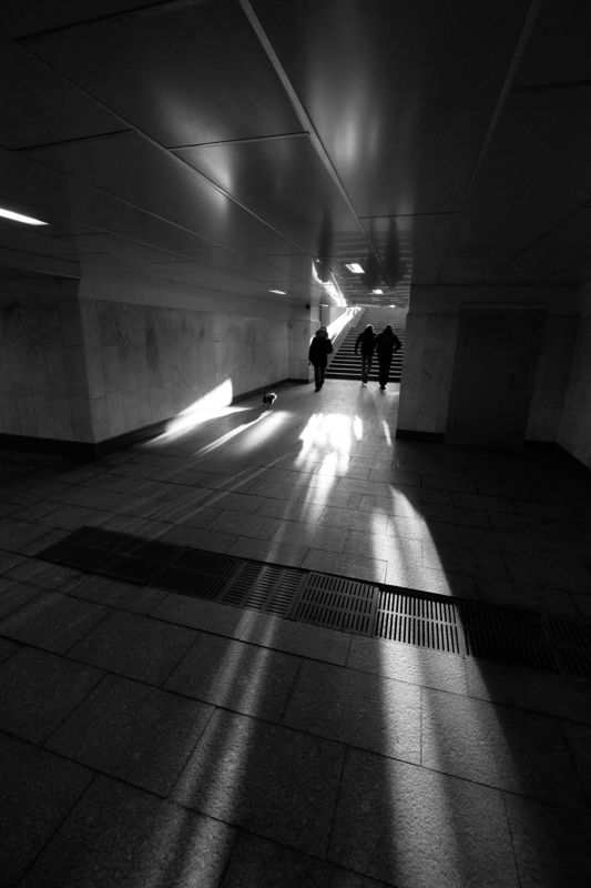 подземный переход, лестница, собачка Солнце, заглянувшее в подземельеphoto preview