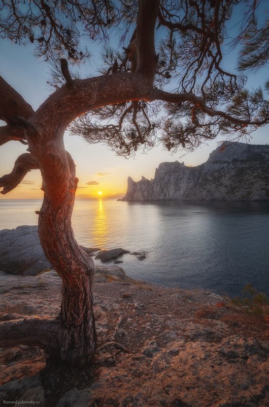 крым, пейзаж, закат, новый свет, судак, осень Осень в поселке Новый Светphoto preview