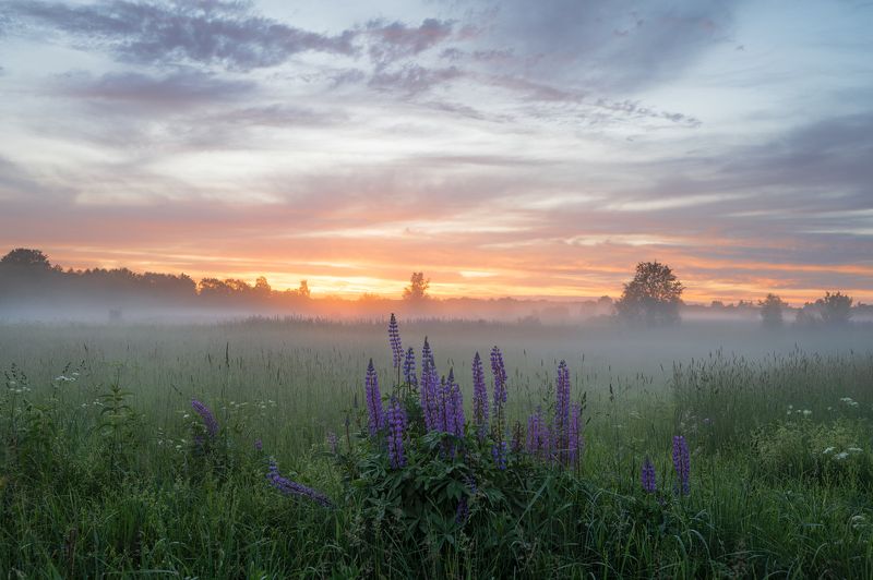 на закатеphoto preview