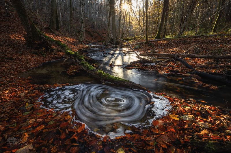 river,forest,trees,woodland,woods,autumn,autumnal,long exposure,nature,landscape, Woodland Talephoto preview