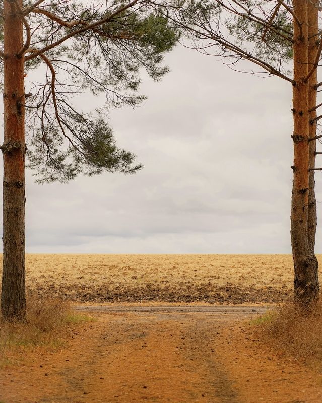 Ворота в осеньphoto preview