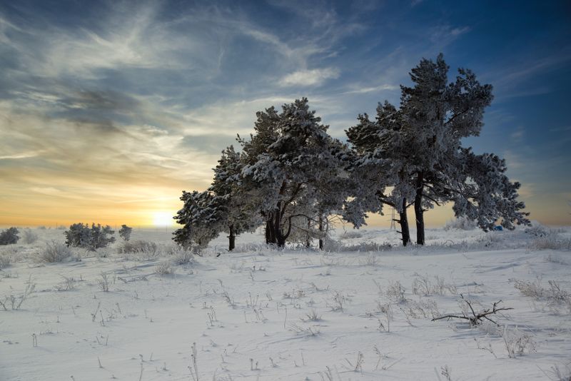 волгоград, пейзаж Лысая гораphoto preview
