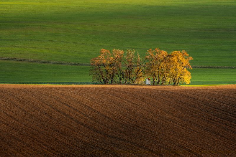 autumn, moravia, czech, moravia tuscany Autumn in Moraviaphoto preview