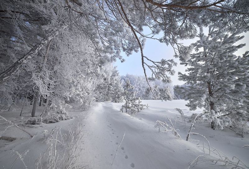 морозко фото превью