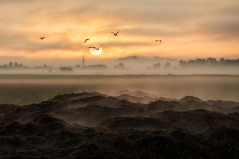 На рассветеphoto preview