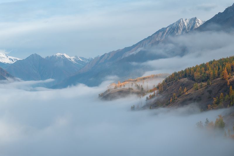 Туманное утроphoto preview