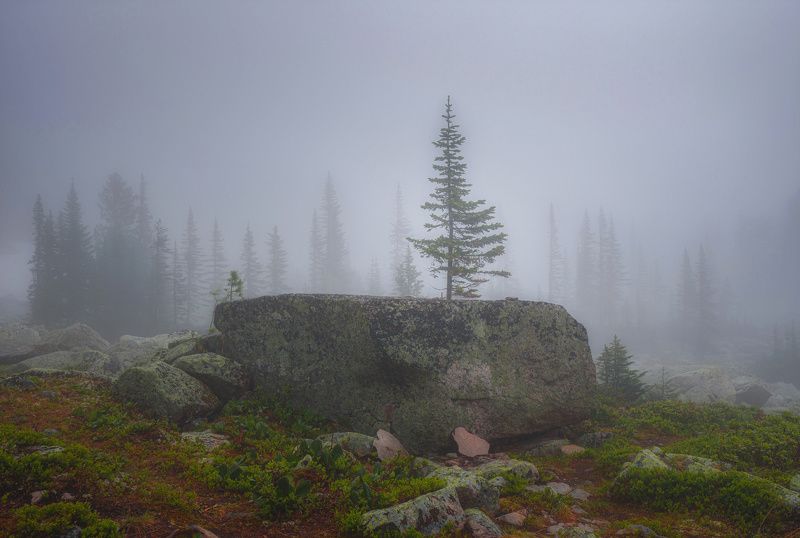 путникphoto preview