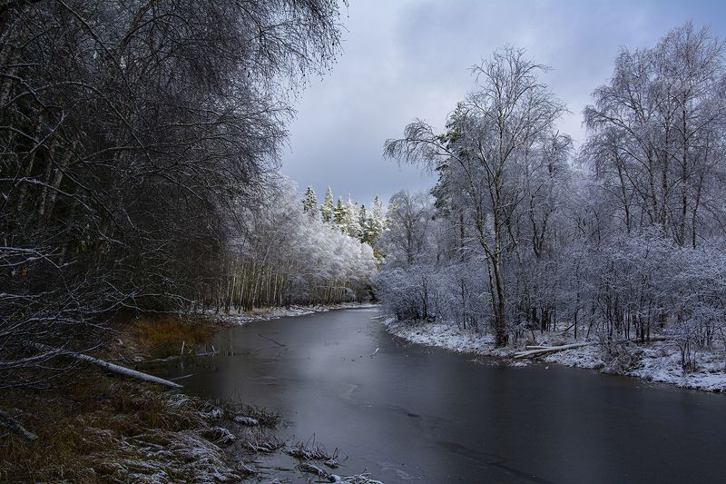 наедине с природойphoto preview