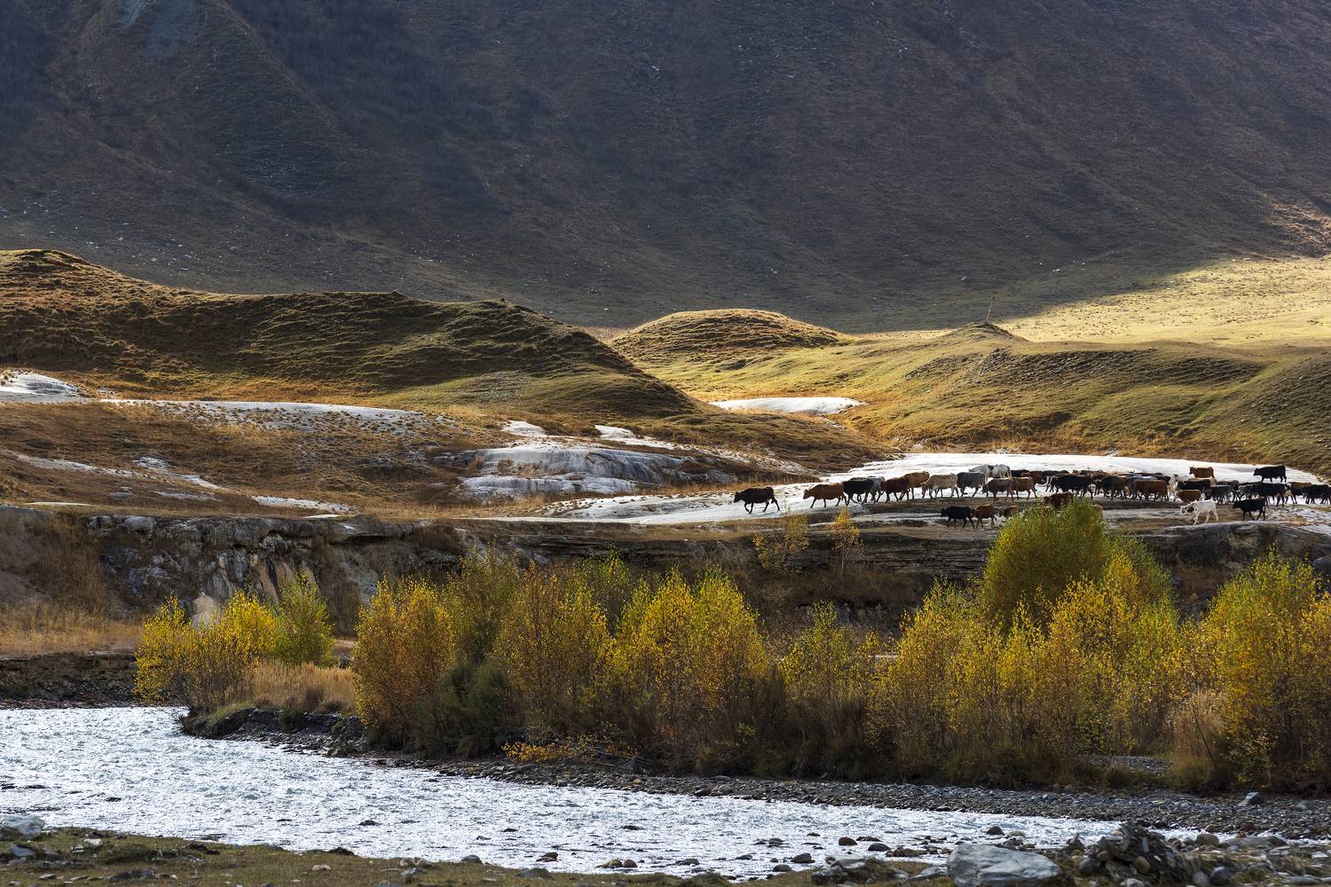Автор: Дмитрий Новоселов , Дмитрий Новоселов