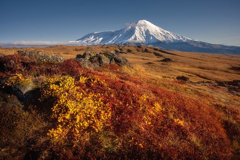 Осеняя тундра. Толбачик. Камчатка. фото превью