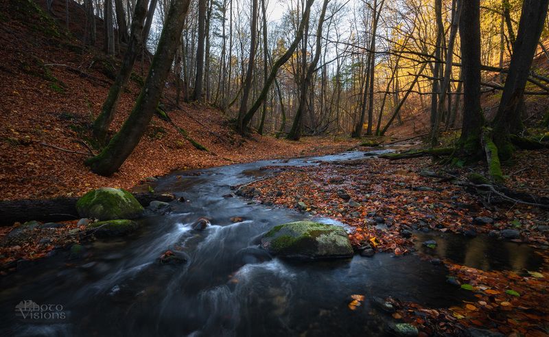 forest,river,woods,woodland,nature,water,trees,landscape, Late autumn palettephoto preview