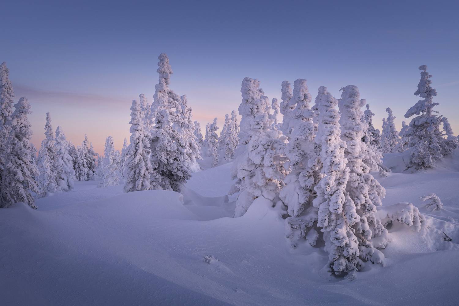 , Татьяна Бирюкова