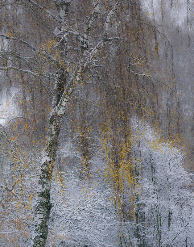 Дыхание зимыphoto preview