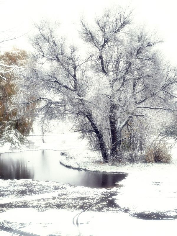 Вот и встретились Осень с Зимою....photo preview