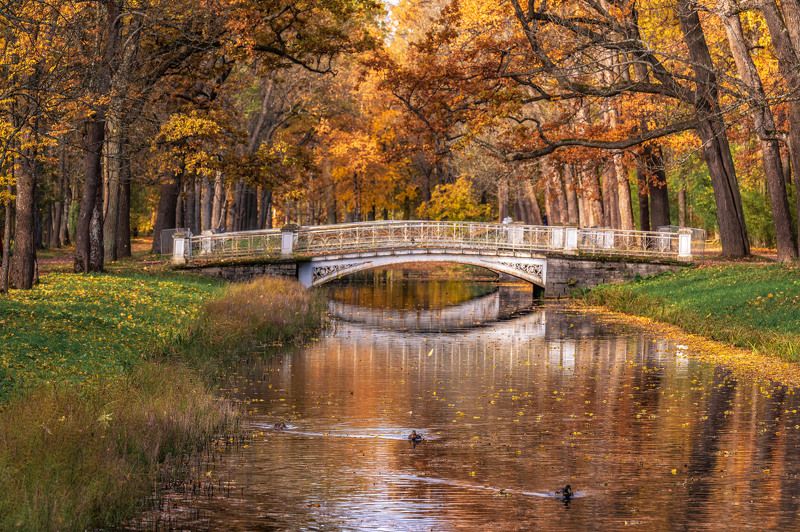 осенний пейзаж, осень, краски осени, мосты, царское село Догорает осень...photo preview