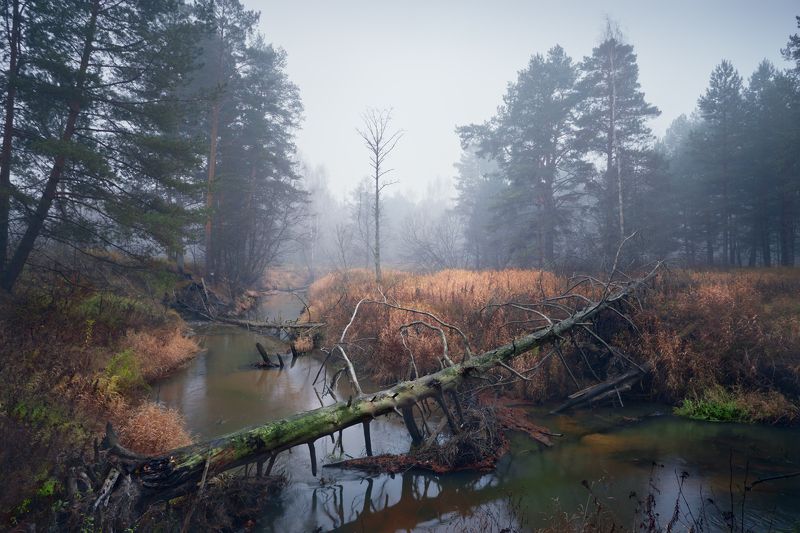 Начало ноября ... фото превью