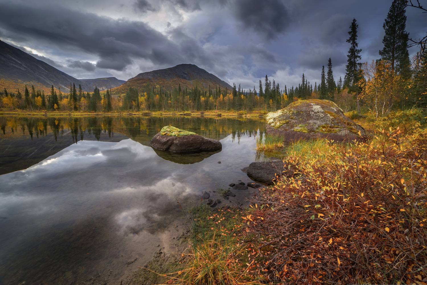 Кольское безмолвие. Автор: Марина Мурашова , Марина Мурашова