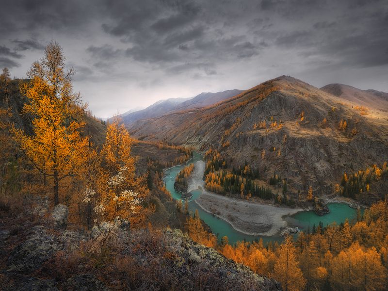 Изгибы реки Аргутphoto preview