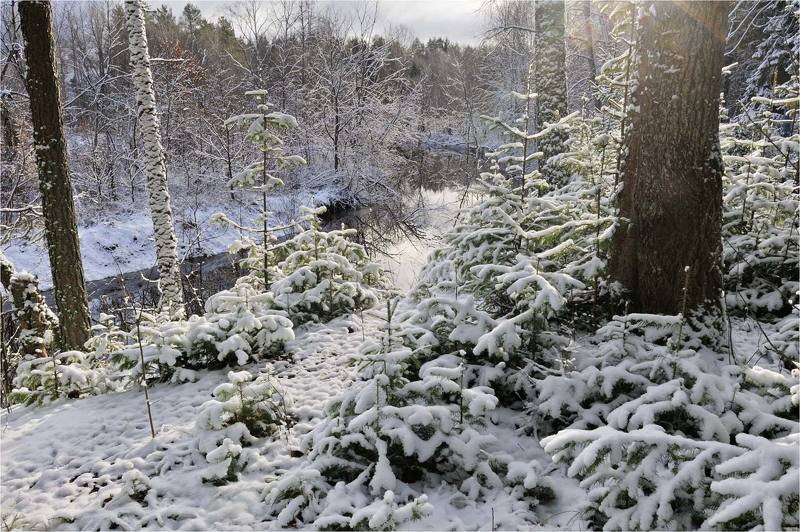 Ноябрьская зимаphoto preview