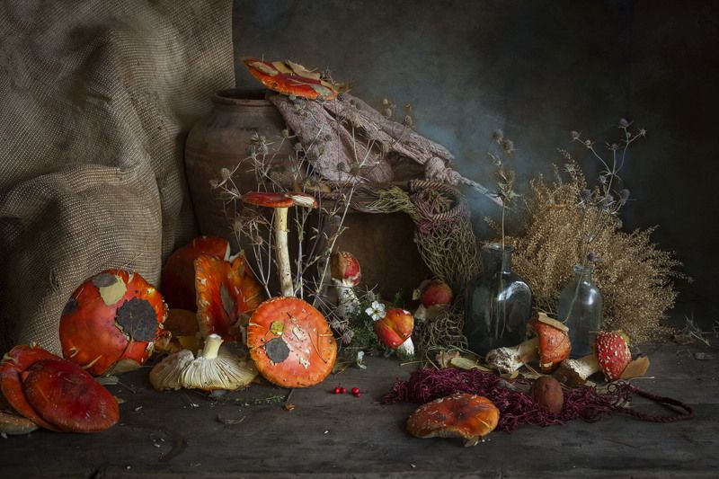 мухоморы, листья. осень Волшебные мухоморы фото превью