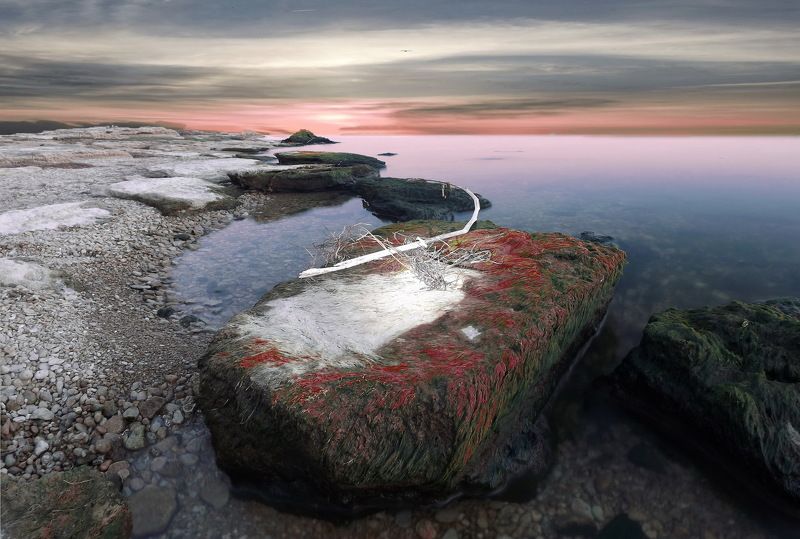 Журавлёв Никита, Ukraine
